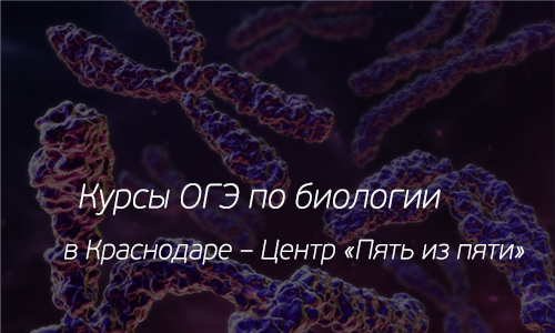 Курсы подготовки к ОГЭ по биологии Краснодар